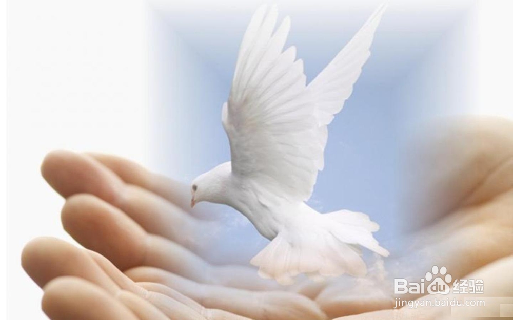 职场求职细节分享-面试点滴