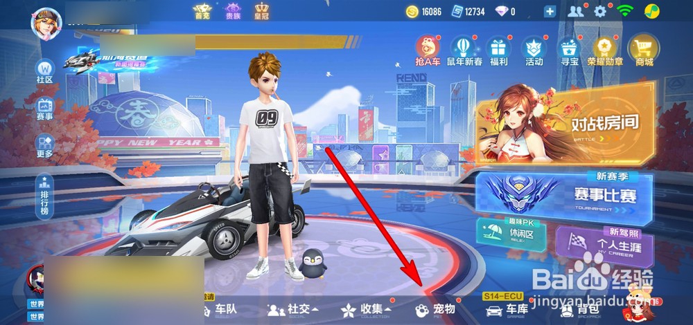 qq飞车手游怎么升级宠物等级