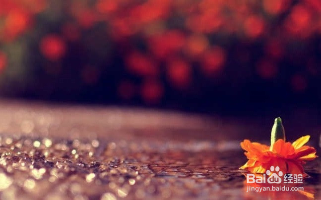 高中阅读理解的技巧方法