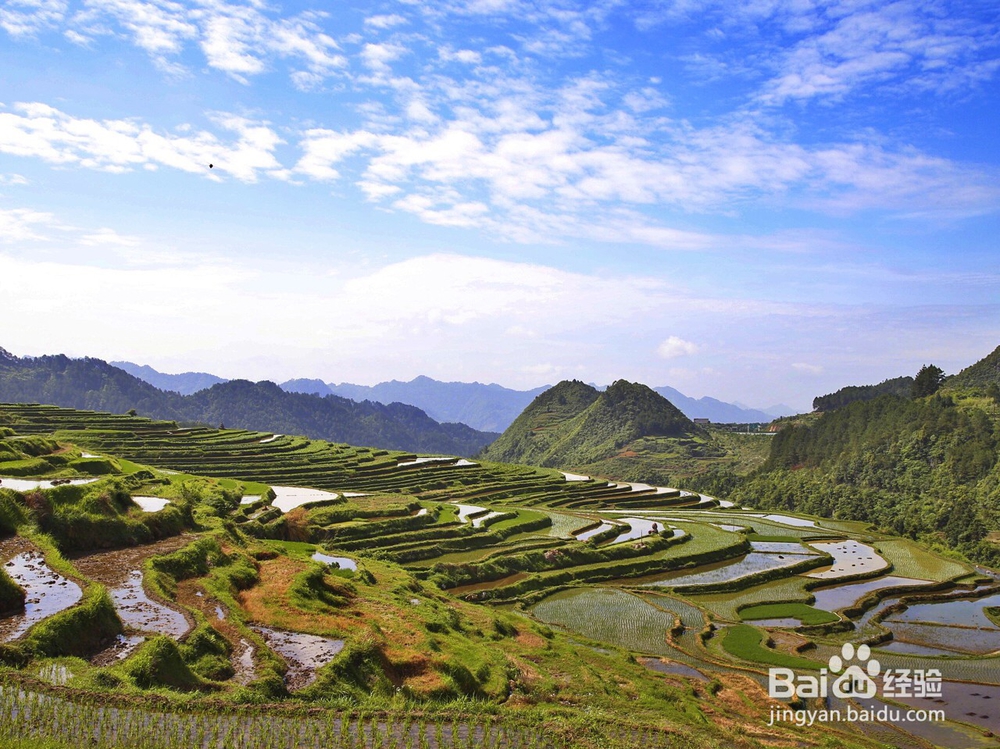 怎么才能找到贵州靠谱的旅游包车师傅?