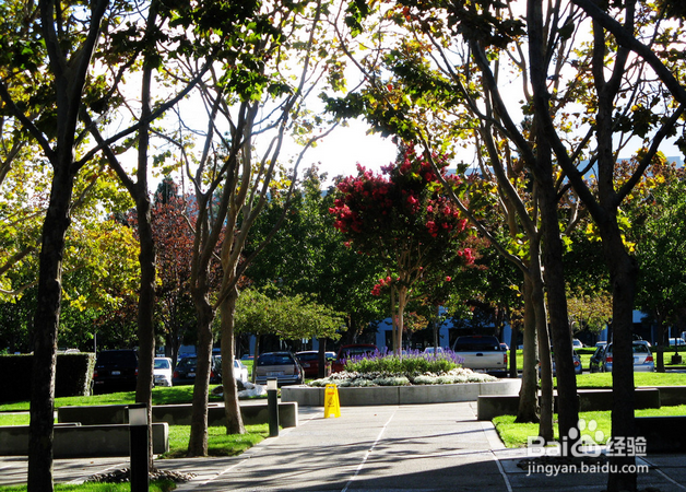 美国怎样公布学生的考试成绩