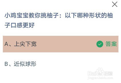 以下哪种形状的柚子口感更好蚂蚁庄园答案
