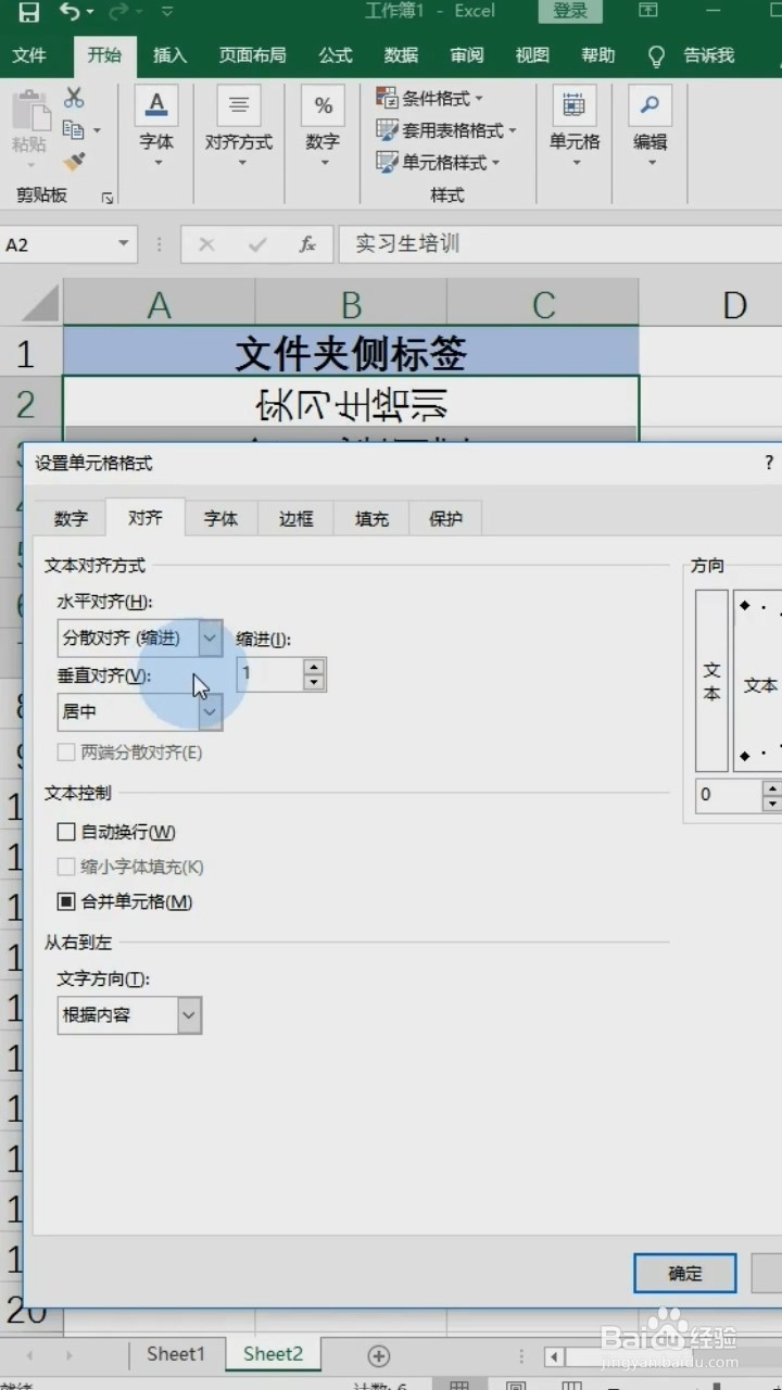 Excel中制作文件夹侧标签的方法。