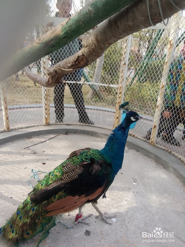 武汉欢乐谷一日游玩攻略