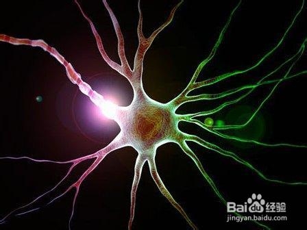 思维导图绘制要领：[1]基本篇