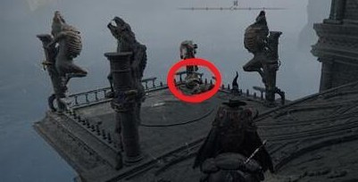 艾尔登法环野兽神庙隐藏小道路线攻略