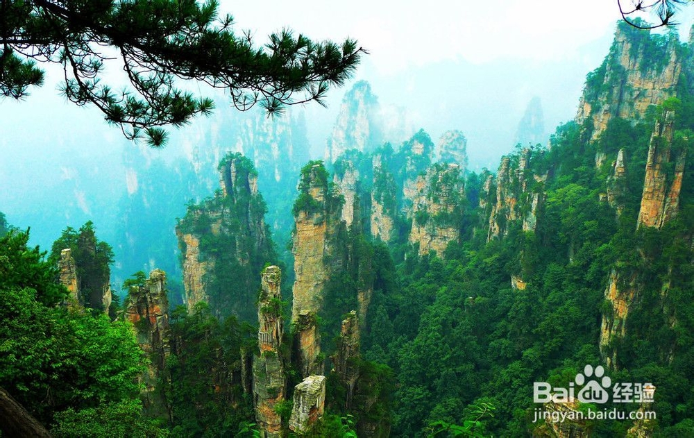 苏州到张家界自助游攻略