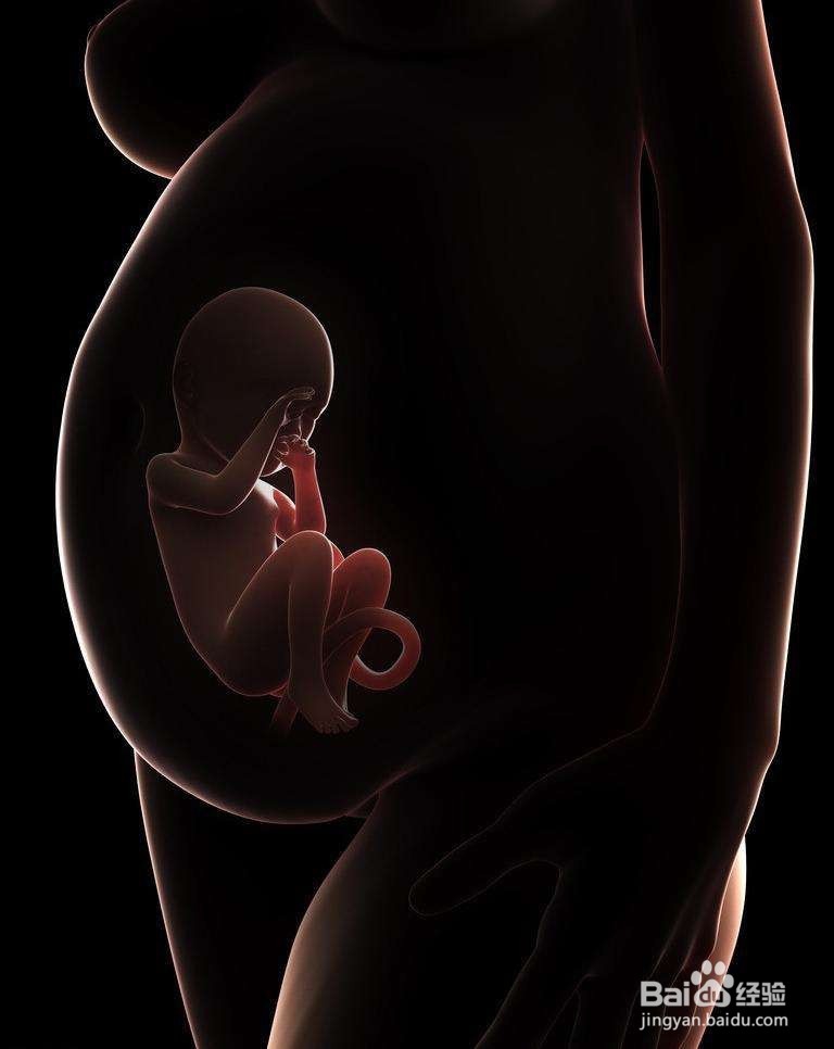 怀孕前补充叶酸有这些问题需要格外注意