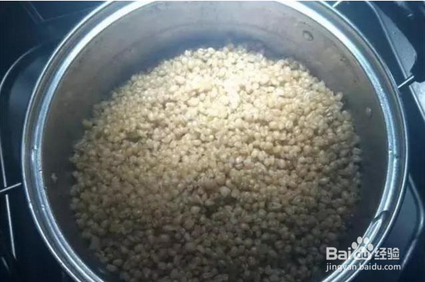 野河钓鲫鱼窝料技巧！渔获57斤 我用了5年