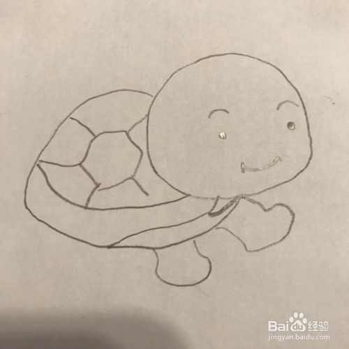 怎么画乌龟呢