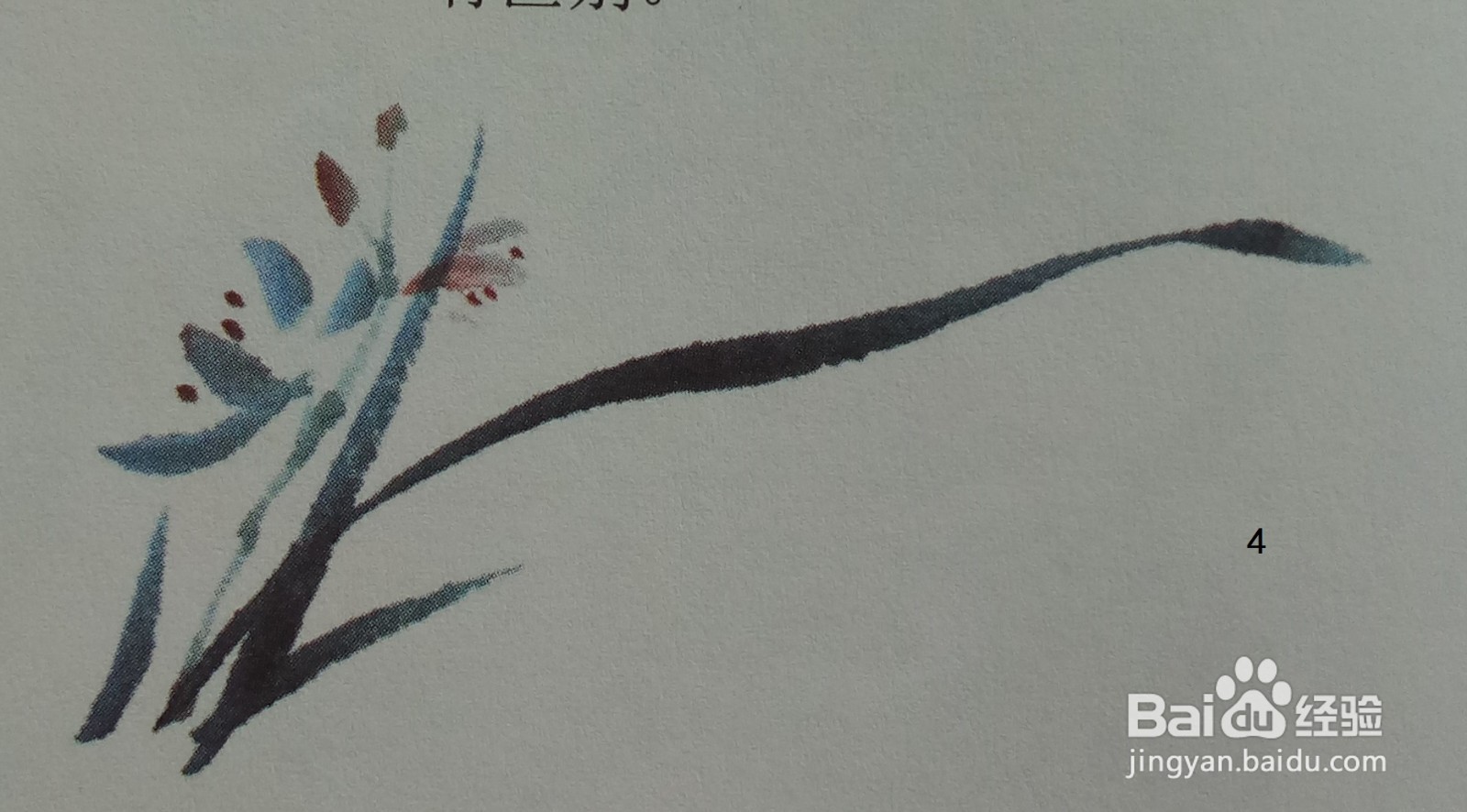 国画：兰花叶的画法