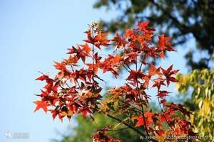 最该去的七个北京景点