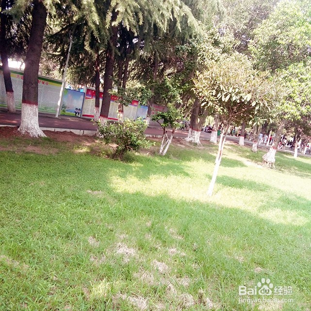 怎么样治疗焦虑精神病