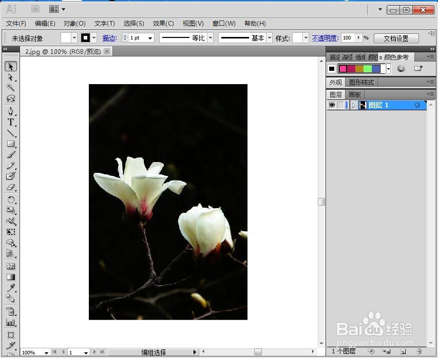 在AI中给图片添加烟灰墨和晶格化效果