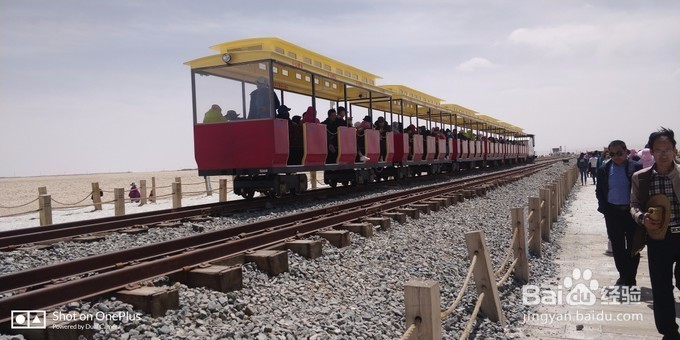青海湖租摩托车骑行青海湖-青海湖,梦幻般的湖