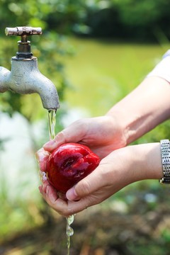 水蜜桃怎么洗