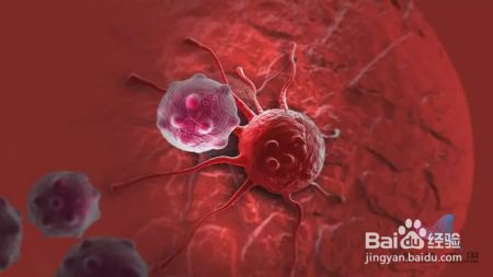 来自癌细胞的自白：是你们的这些行为创造了我！