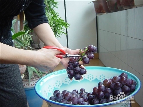 学做葡萄酒，比买的要好喝，不收藏不要后悔噢