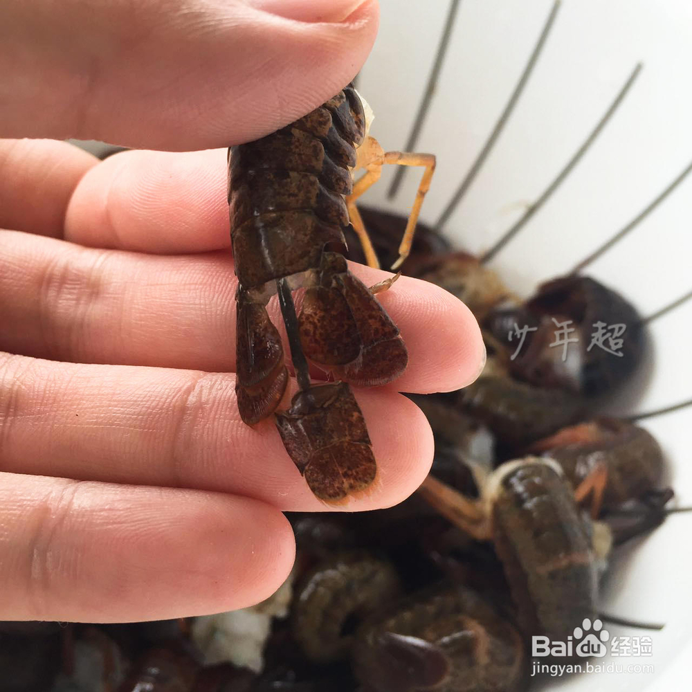 香辣小龙虾尾自己做
