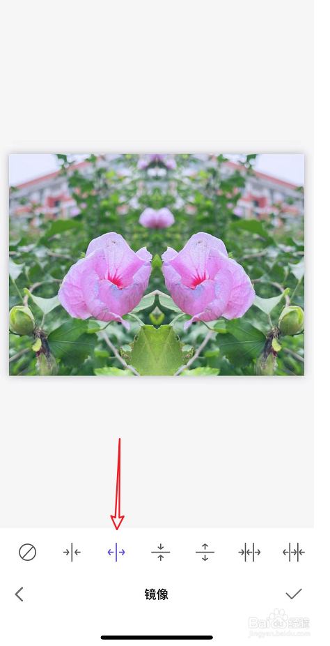 proknocknot 中给图片添加镜像效果的做法