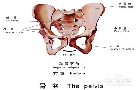 <b>产检之选择分娩方式</b>