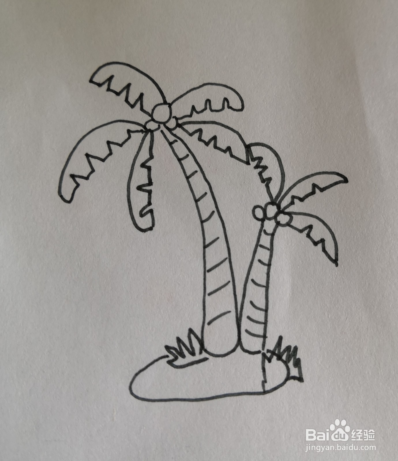 椰子树的简笔画