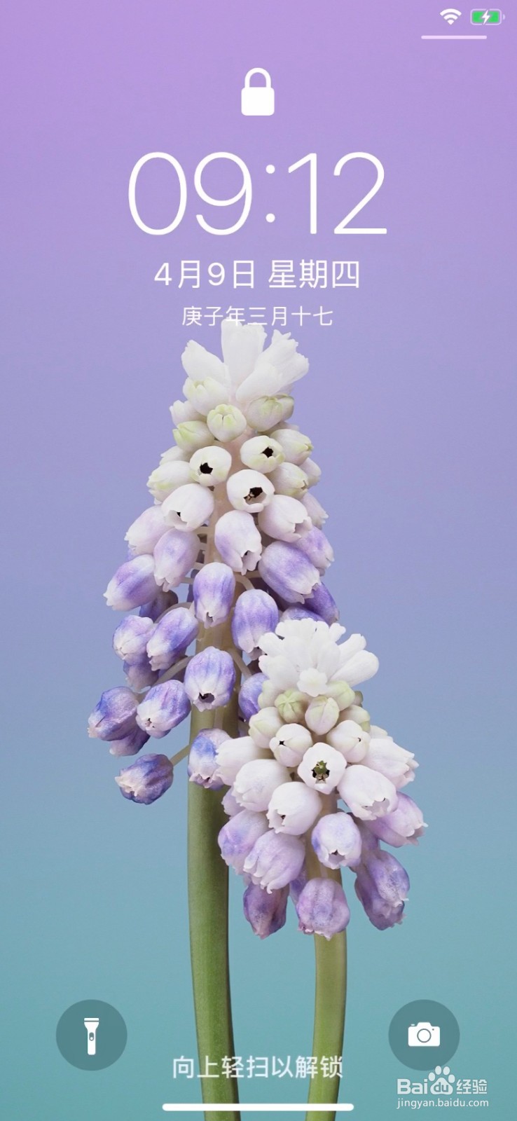 iPhone XS如何设置桌面壁纸？