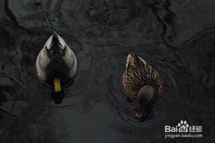 我们的心理防御状态体现出来是什么样的?