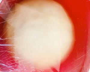 中筋面粉版披萨的做法