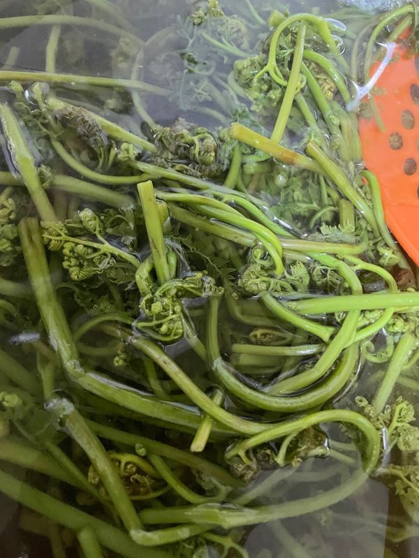 蕨菜炒肉东北菜