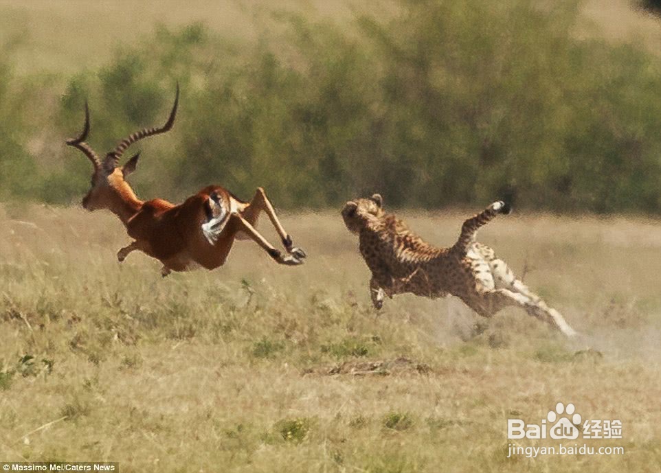 怎么激发自己的潜能；激发自己潜能的方法