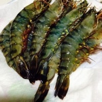 怎么做靠大虾才好吃