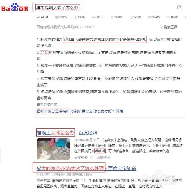 猫老是叫太吵了怎么办