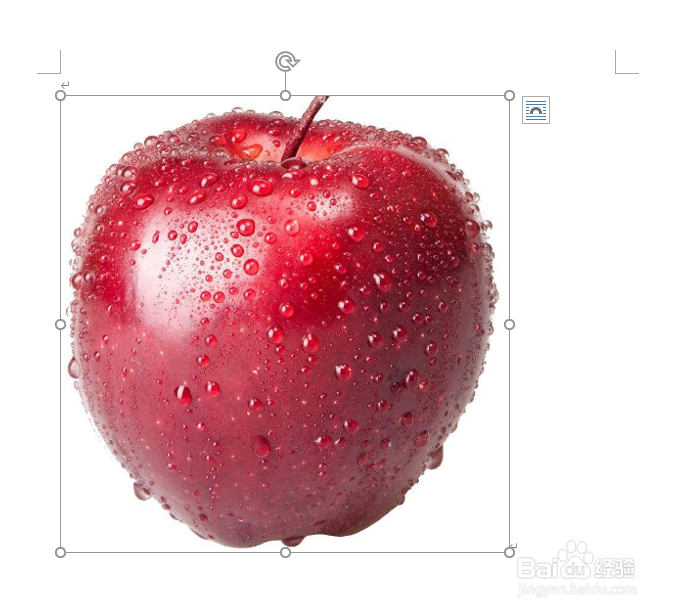 word怎么裁剪图片？