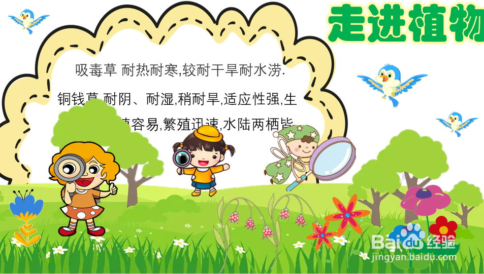 小学生植物手抄报图片