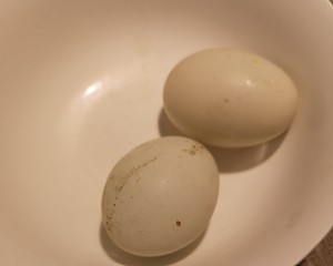 月经期养生汤怎么做