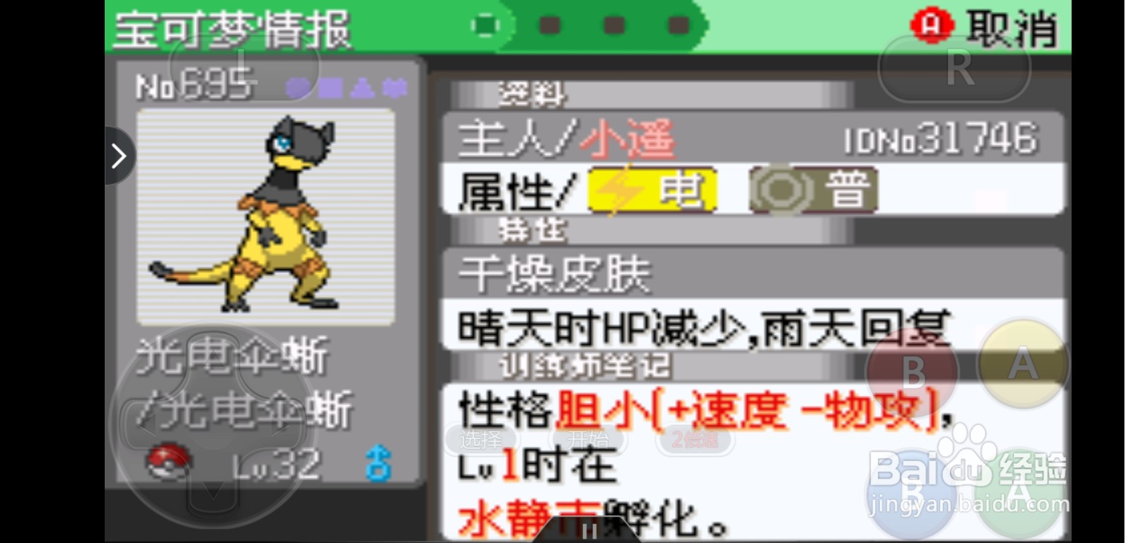 口袋妖怪雨天队介绍