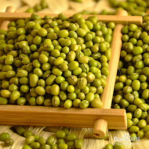 如何种好绿豆