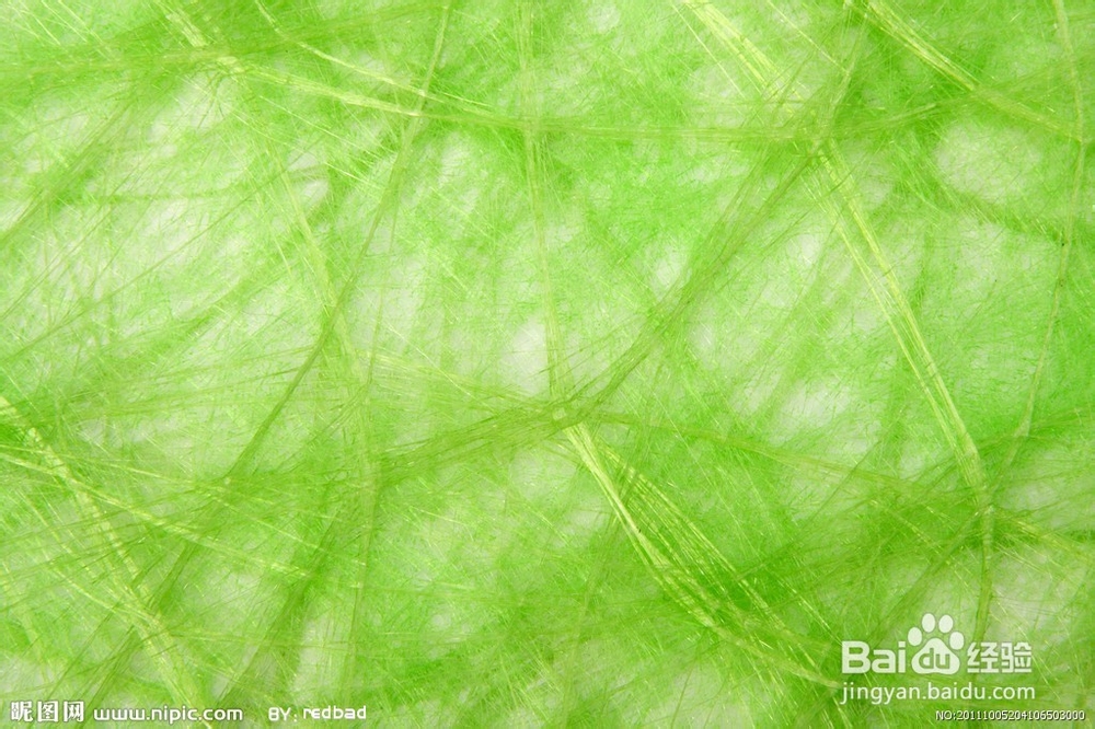 尿蛋白高不能吃什么?