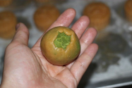 月饼抹茶馅的做法