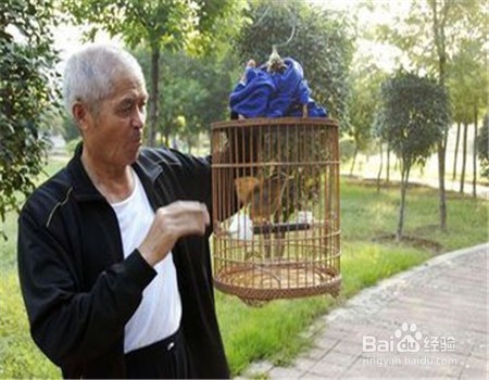 老年人如何老有所乐