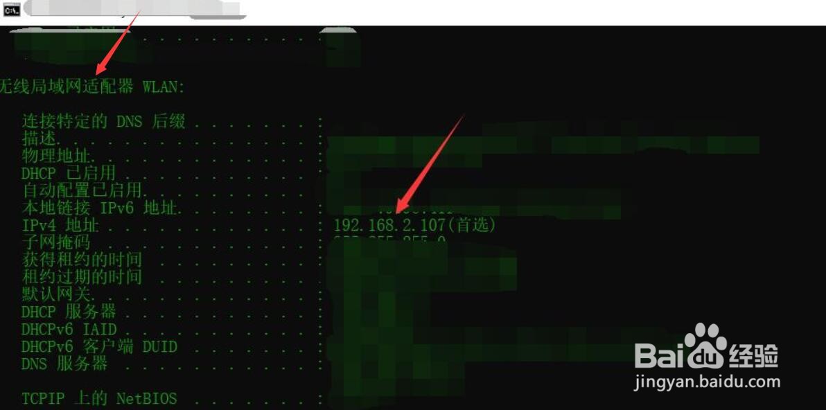 怎么在命令行查看ip地址