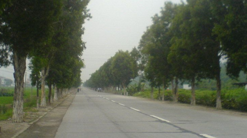 “x008”是什么道路的编号