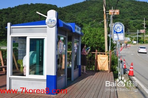 韩国巨齐岛旅游攻略