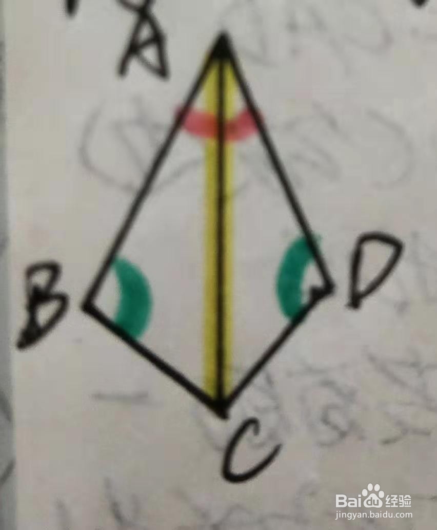 判定三角形全等（AAS）例一