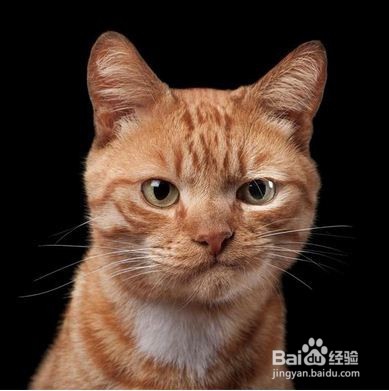 优秀员工为何离去?绝非都是钱没给到位!