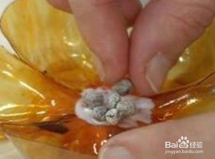 塑料瓶变身彩色花