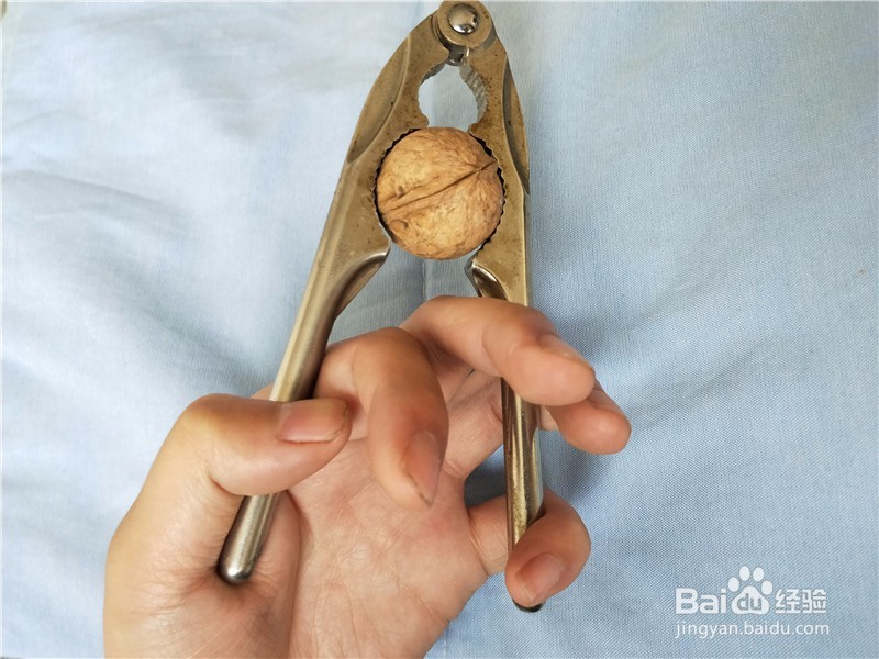 核桃钳子如何轻松快速的打开核桃