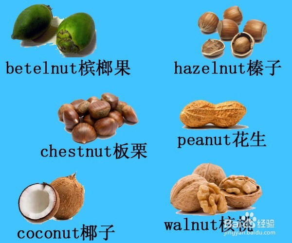 English Words:归类记忆各种水果(共28种水果)