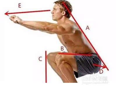 徒手深蹲的动作